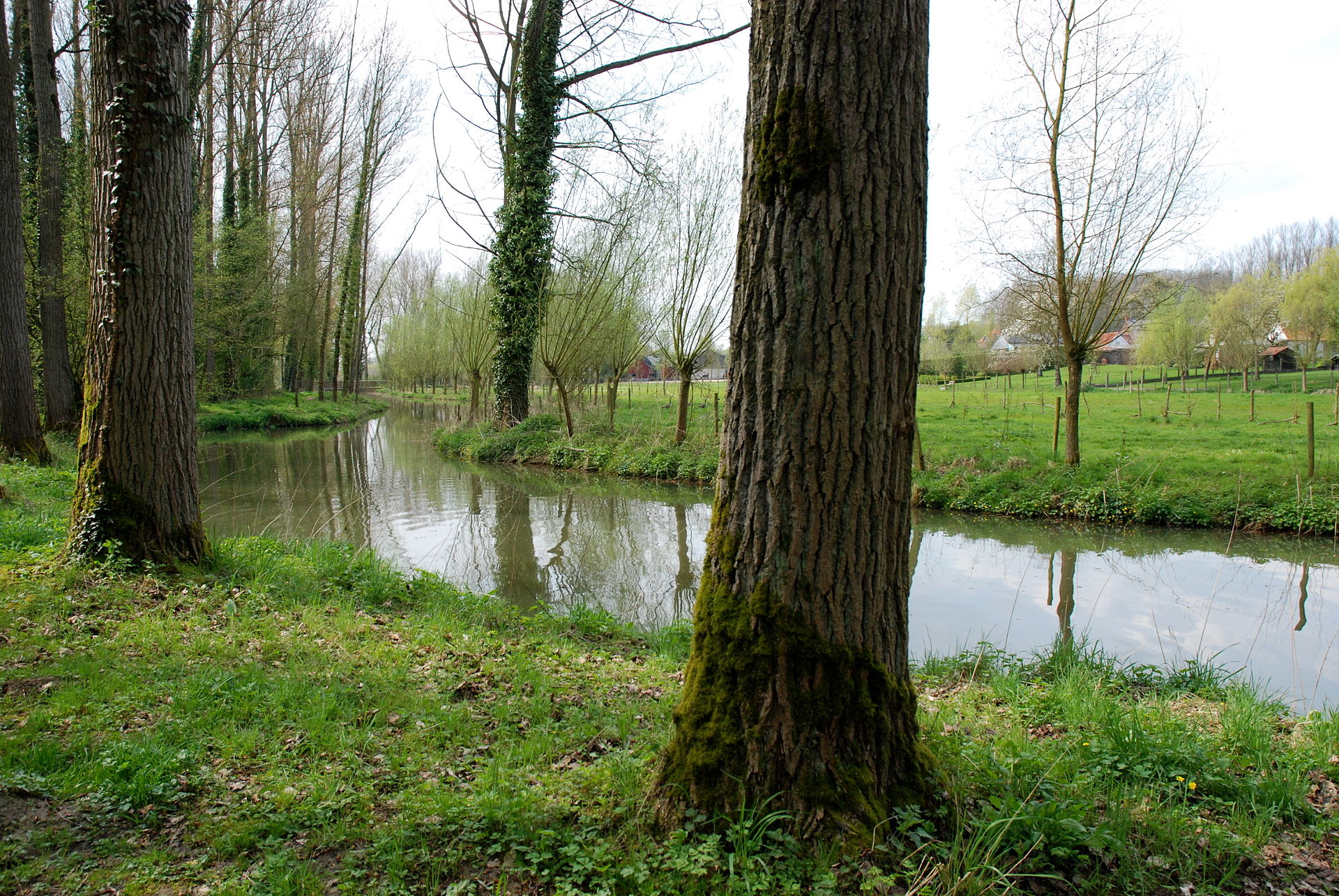 Omgeving Zottegem Vlaamse Ardennen